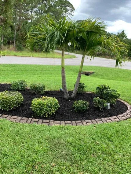 Custom landscaping services experts serving Port Charlotte, FL - LD Lifestyles