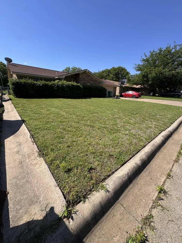 Professional landscape design in Hico, TX - L&D Mowing