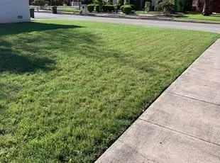 Professional lawn care service in Fayetteville, NC by LDA Lawncare