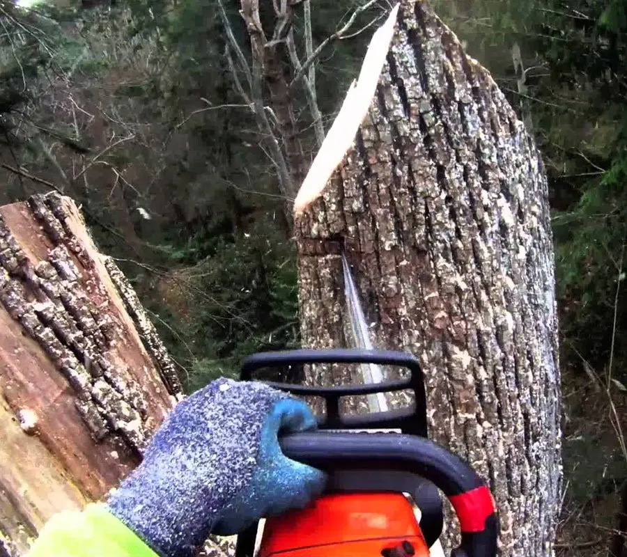 Professional garden landscaping in Fayetteville, NC by LDA Lawncare