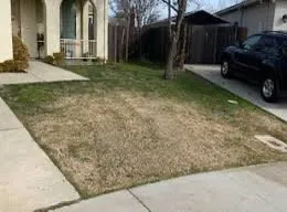 Affordable lawn care service experts serving Fayetteville, NC - LDA Lawncare