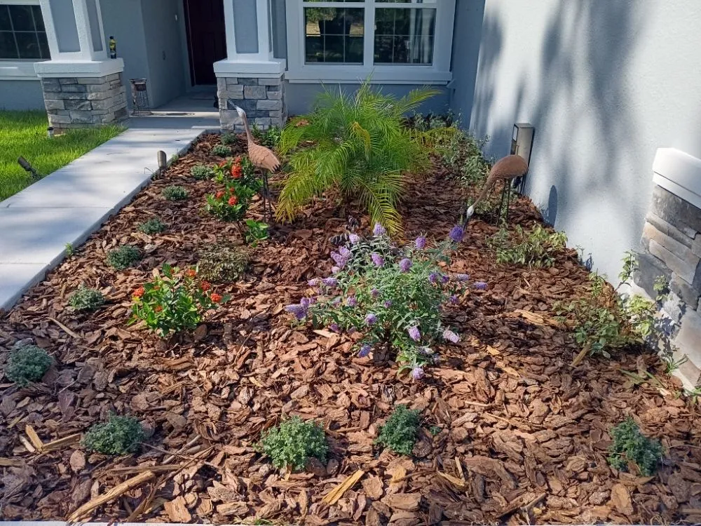 Top-rated yard cleanup service for year-round maintenance across Brooksville, FL - Ldc Tree And Landscapes