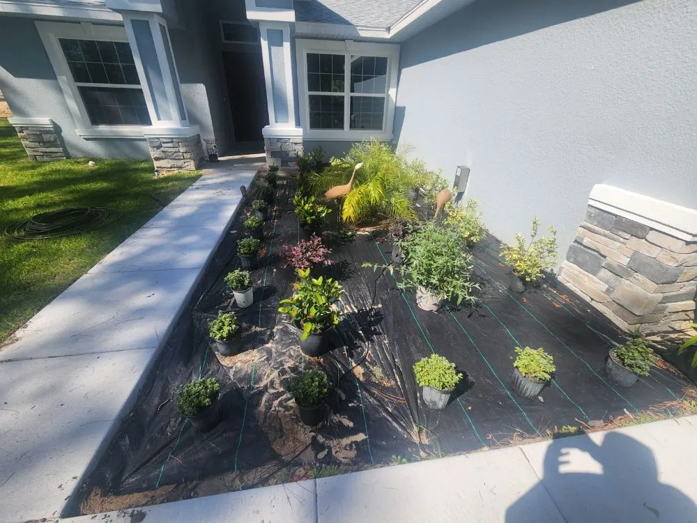 Professional landscape installation in Brooksville, FL by Ldc Tree And Landscapes