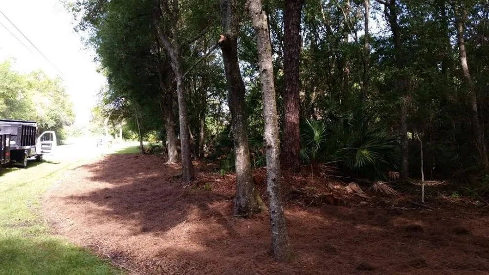 Affordable lawn care service for outdoor upgrades across Brooksville, FL - Ldc Tree And Landscapes