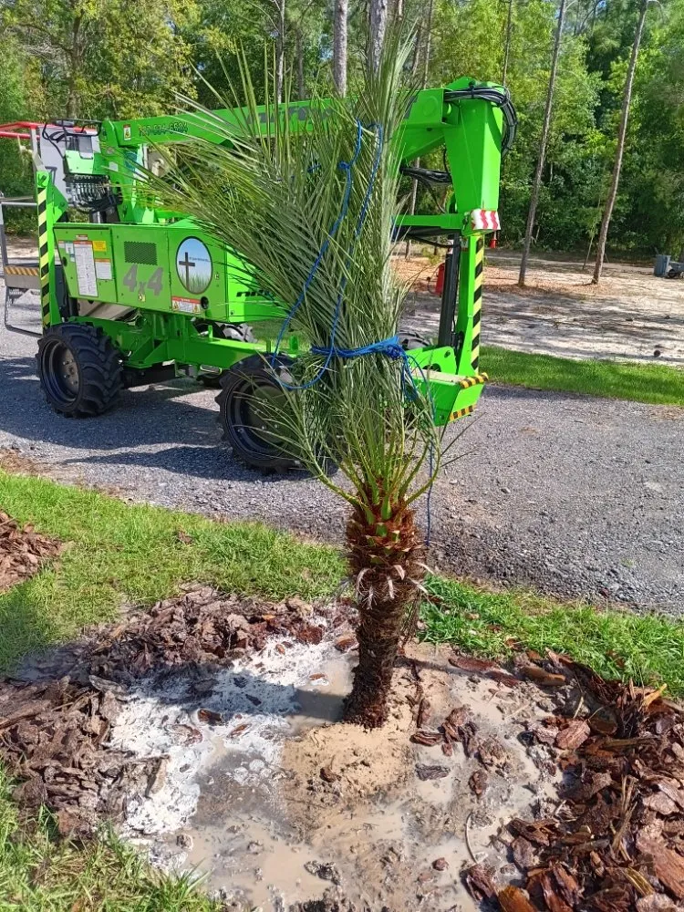 Trusted landscape design in Brooksville, FL by Ldc Tree And Landscapes