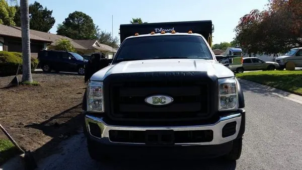 Ldc Tree And Landscapes Logo