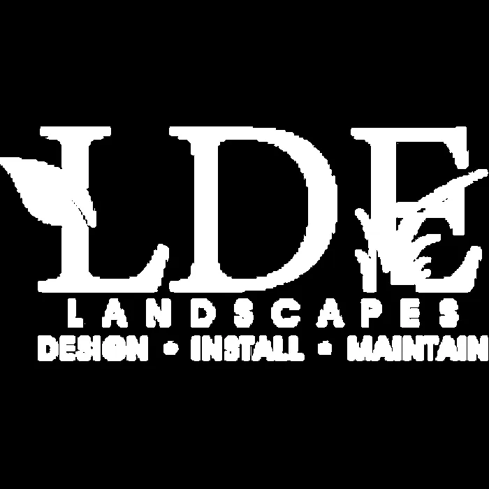 Trusted yard cleanup service for year-round maintenance in Alvarado, TX by LDE Landscapes