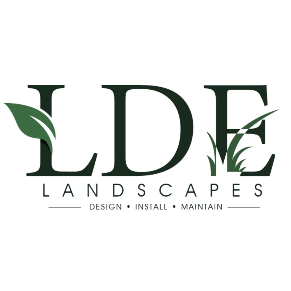 Custom yard cleanup service experts serving Alvarado, TX - LDE Landscapes