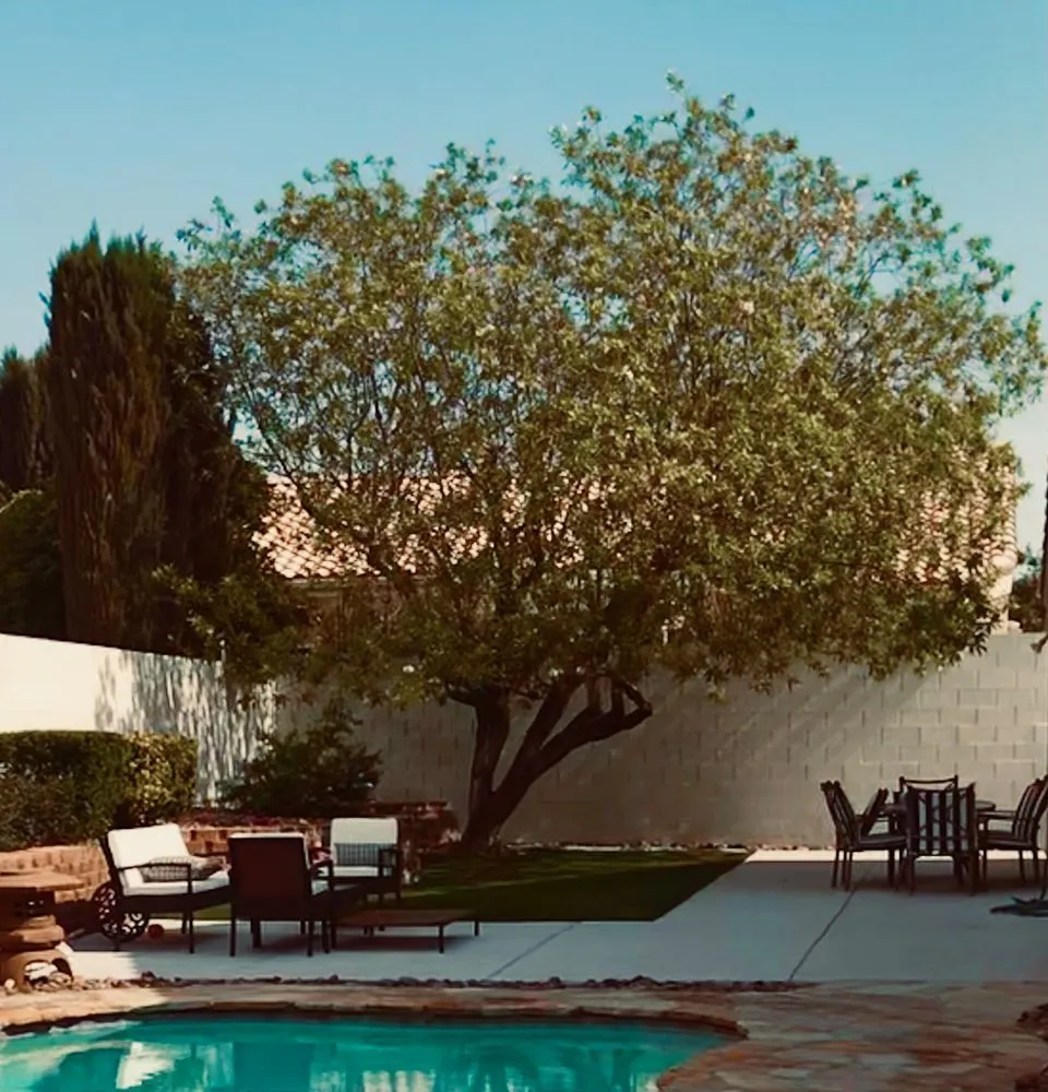 Trusted garden landscaping experts serving North Las Vegas, NV - LDI Grounds Mgmt