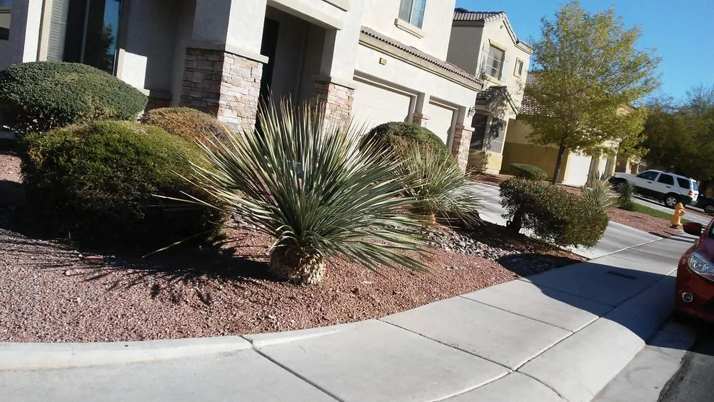 Professional yard maintenance in North Las Vegas, NV by LDI Grounds Mgmt