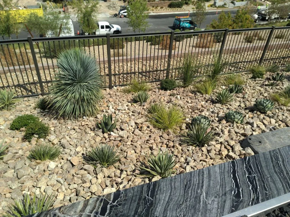 Top-rated landscape installation experts serving North Las Vegas, NV - LDI Grounds Mgmt