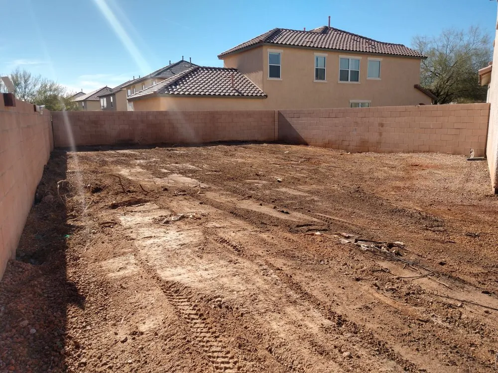 Custom yard cleanup service in North Las Vegas, NV by LDI Grounds Mgmt