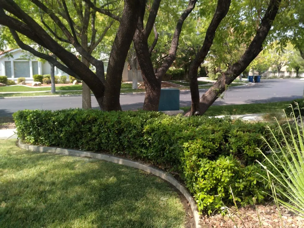 Reliable lawn mowing service with custom design in North Las Vegas, NV by LDI Grounds Mgmt