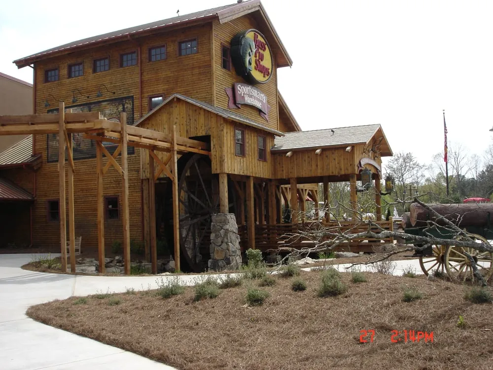 Local yard cleanup service in Bonaire, GA - LDI Landscape