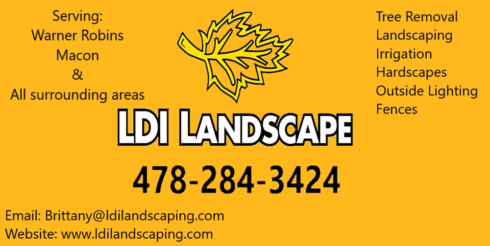 Top-rated yard cleanup service in Bonaire, GA - LDI Landscape