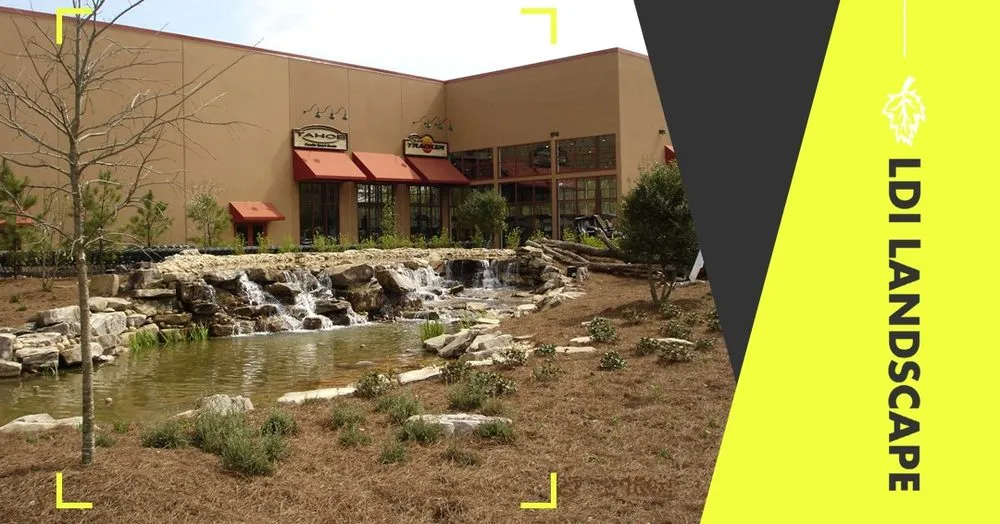 Custom yard cleanup service for homes in Bonaire, GA by LDI Landscape