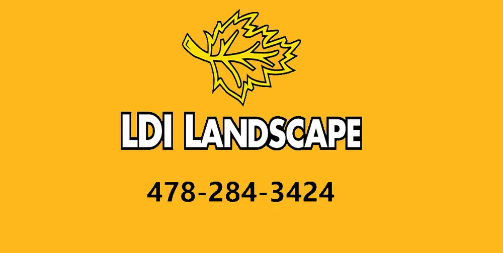 Top-rated lawn care service in Bonaire, GA - LDI Landscape