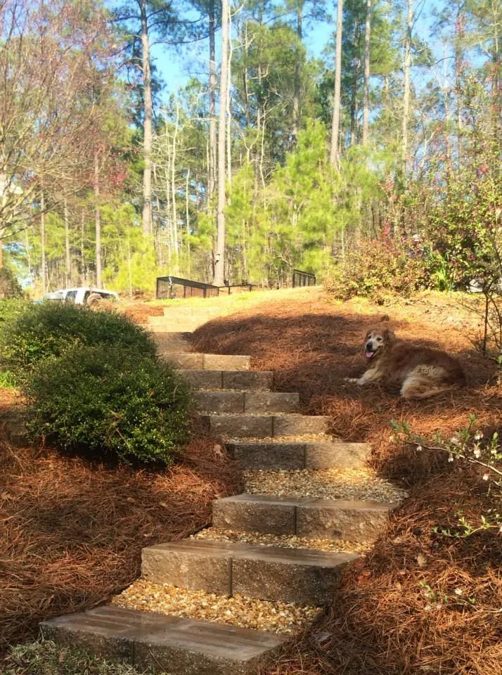 Reliable yard maintenance near you across Bonaire, GA - LDI Landscape