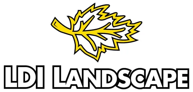 Trusted outdoor landscaping for outdoor upgrades across Bonaire, GA - LDI Landscape