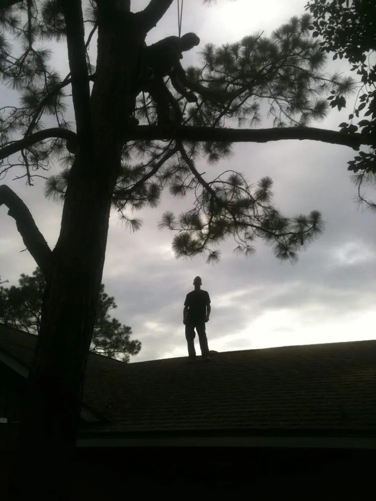 Top-rated yard maintenance with custom design across League City, TX - LDI Services