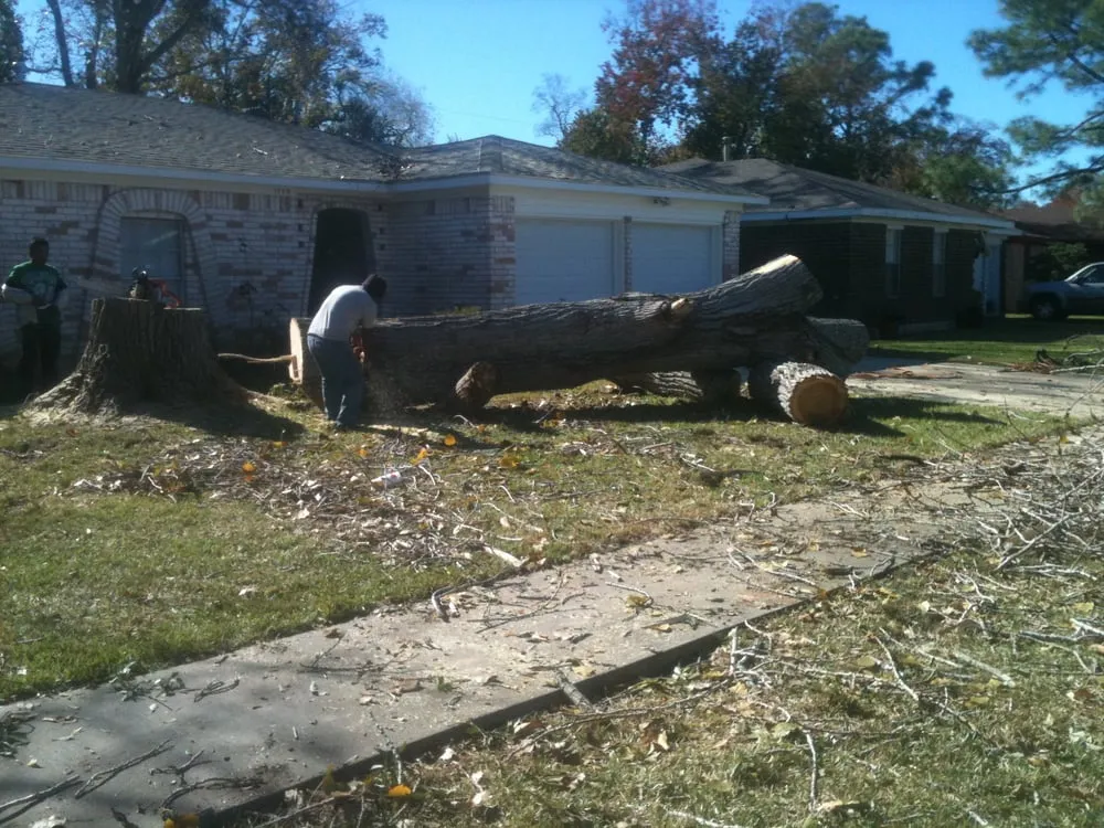 Reliable lawn mowing service experts serving League City, TX - LDI Services