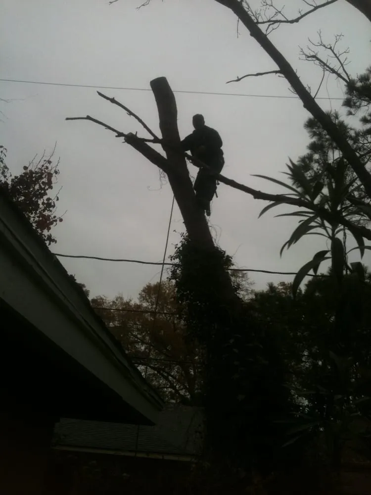 Local landscape design experts serving League City, TX - LDI Services