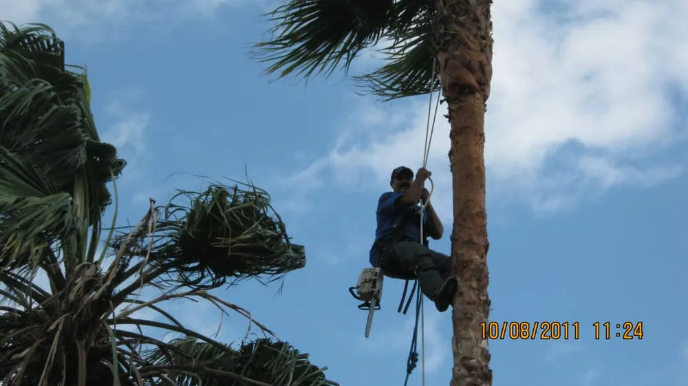 Trusted yard cleanup service experts serving League City, TX - LDI Services