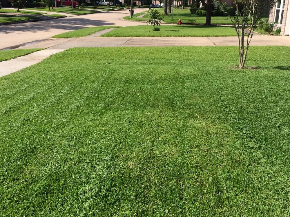 Local residential landscaping for homes across League City, TX - LDI Services