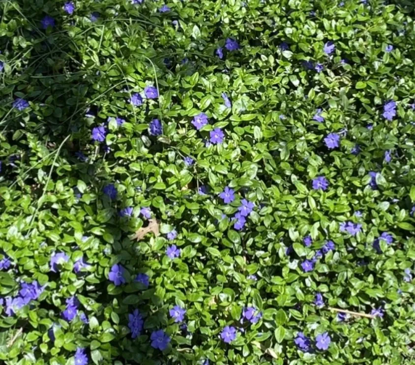 Affordable landscape installation experts serving Seville, OH - LDK Landscaping