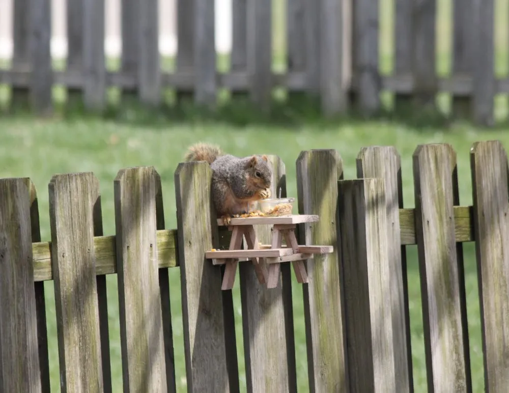 Custom landscaping services in Seville, OH - LDK Landscaping