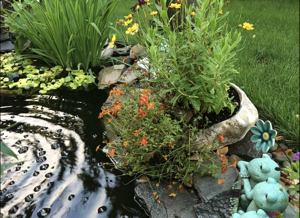 Top-rated residential landscaping experts serving Seville, OH - LDK Landscaping