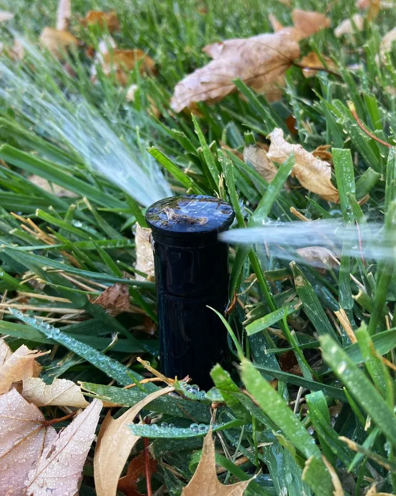 Professional yard cleanup service experts serving Overland Park, KS - LDK Lawn Services