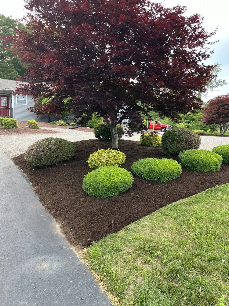 Trusted yard cleanup service near you in West Greenwich, RI by LDL Landscaping