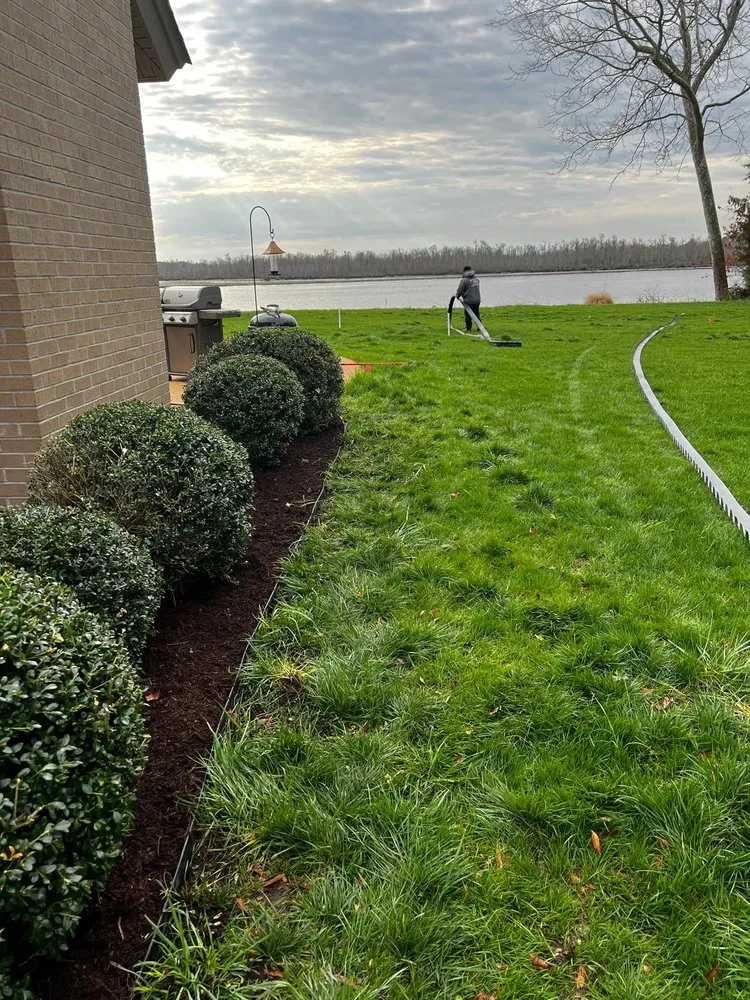 Expert yard cleanup service in Henrico, VA - LDL Services