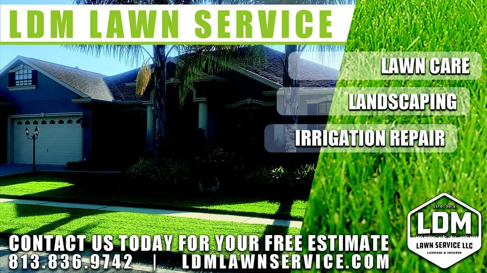 Professional landscape design in Sydney, FL by LDM Lawn Service, LLC