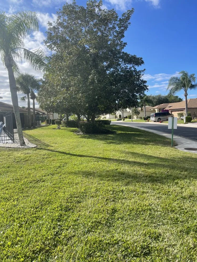 Professional lawn care service for homes across Sydney, FL - LDM Lawn Service, LLC
