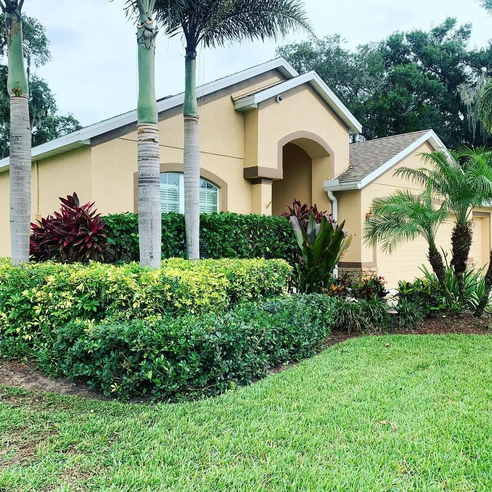 Affordable outdoor landscaping experts serving Sydney, FL - LDM Lawn Service, LLC