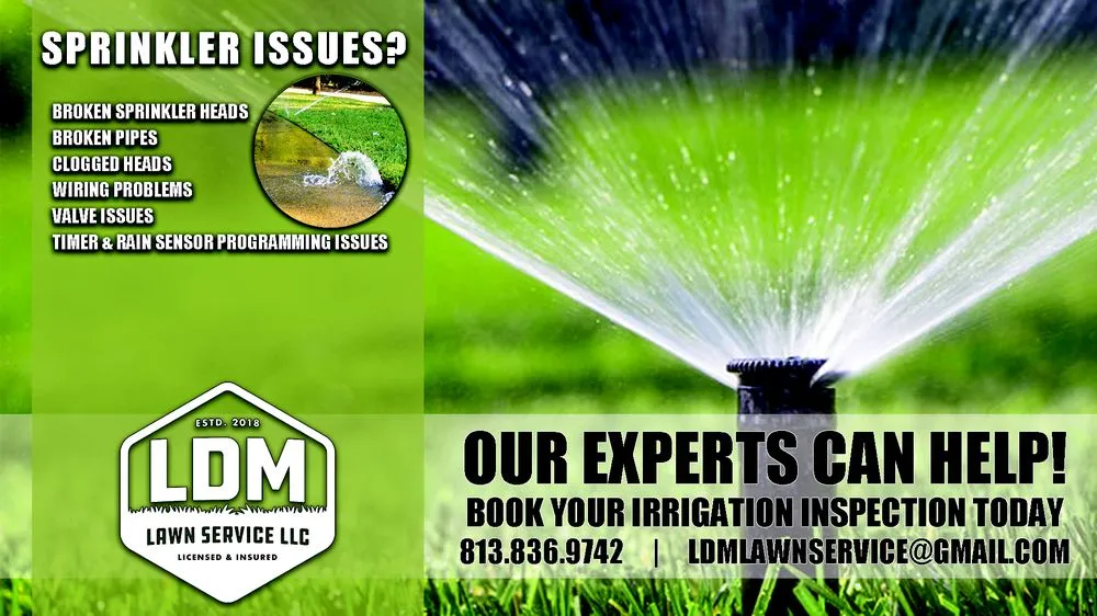 Custom lawn mowing service for beautiful yards in Sydney, FL by LDM Lawn Service, LLC