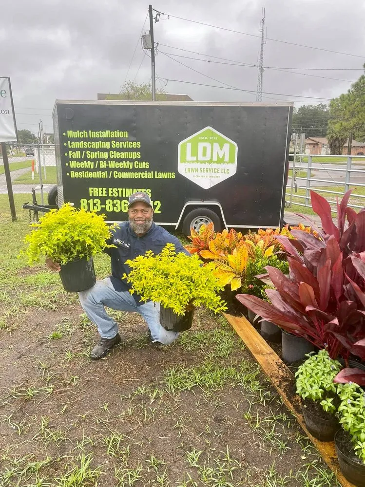 Top-rated garden landscaping in Sydney, FL by LDM Lawn Service, LLC