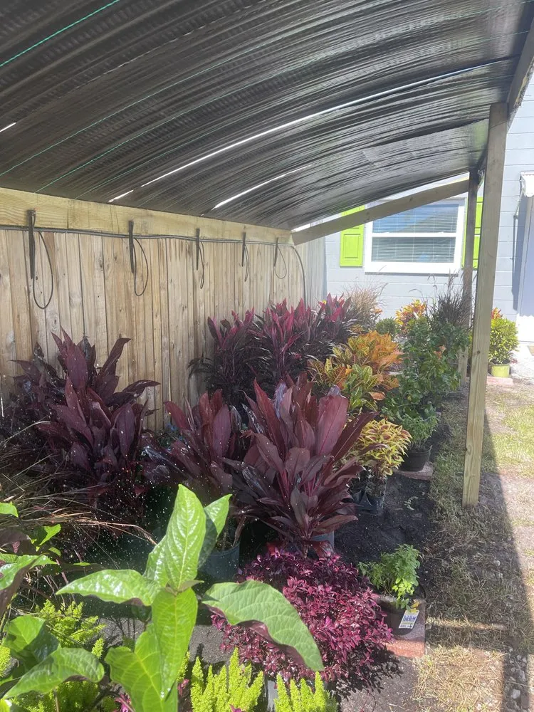 Affordable lawn mowing service experts serving Sydney, FL - LDM Lawn Service, LLC