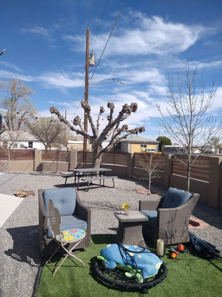 Trusted yard cleanup service experts serving Albuquerque, NM - LDR Landscaping
