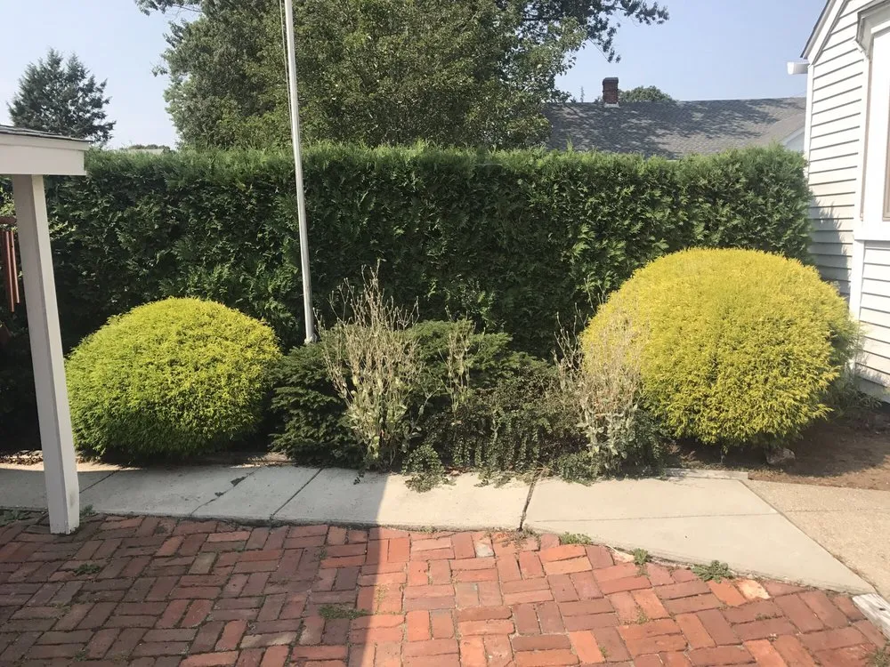 Local residential landscaping experts serving Riverside, RI - LD's Lawn Service