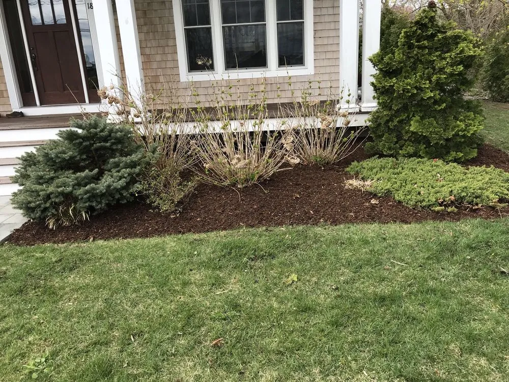 Reliable landscaping services experts serving Riverside, RI - LD's Lawn Service