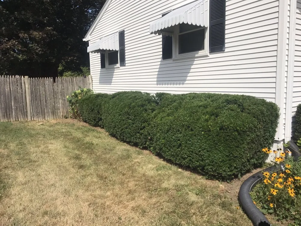 Local yard maintenance experts serving Riverside, RI - LD's Lawn Service