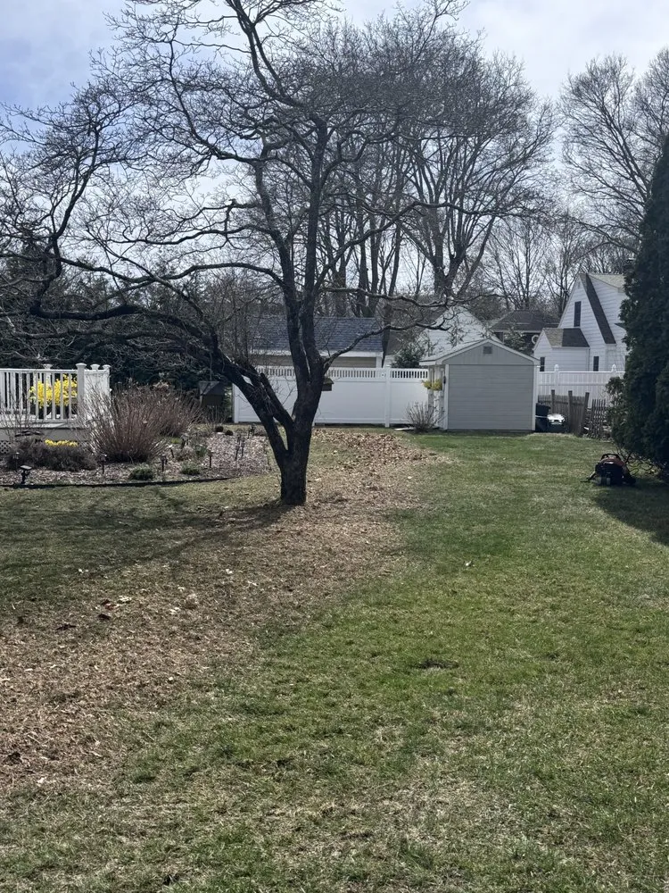 Expert residential landscaping in Riverside, RI - LD's Lawn Service