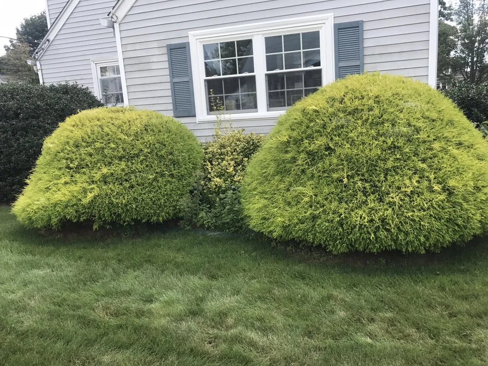 Trusted landscaping services in Riverside, RI - LD's Lawn Service