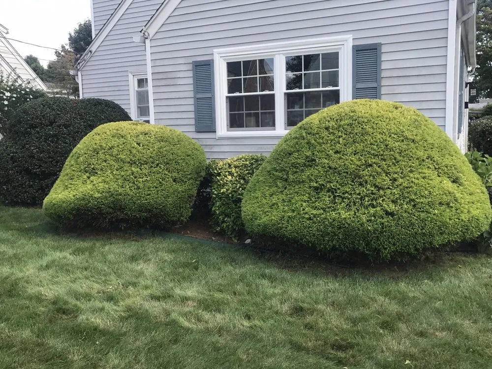 Local residential landscaping experts serving Riverside, RI - LD's Lawn Service