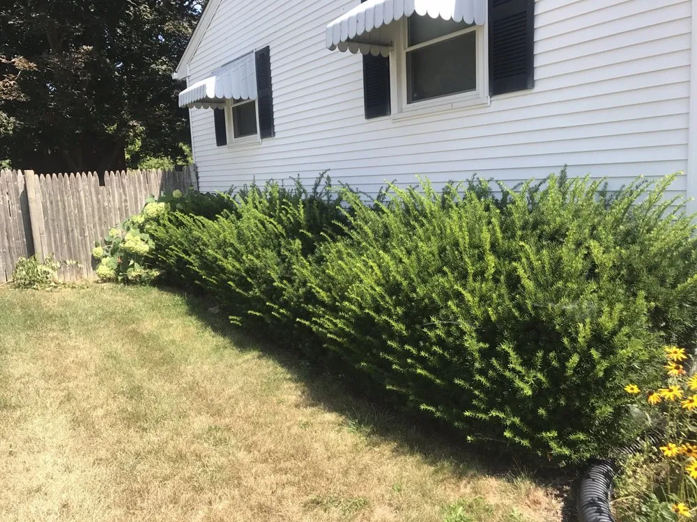 Trusted lawn care service for residential properties in Riverside, RI by LD's Lawn Service