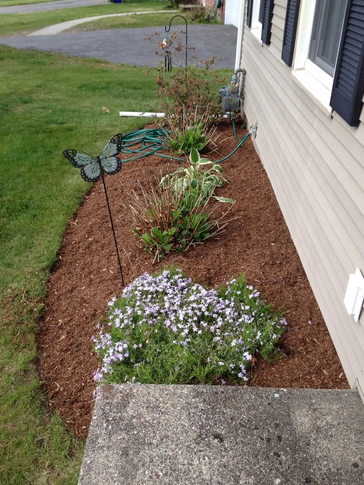Professional lawn mowing service in Riverside, RI by LD's Lawn Service