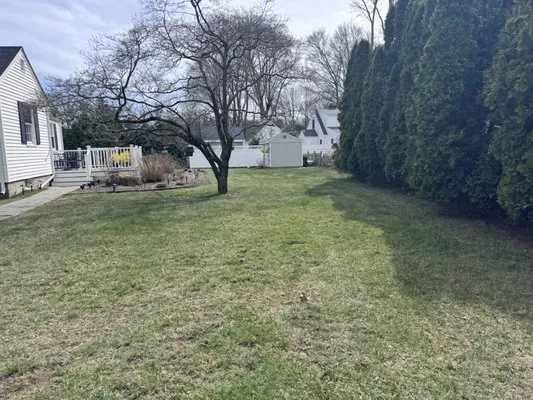 LD's Lawn Service